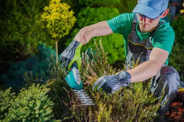 landscaping services Au Sable Forks